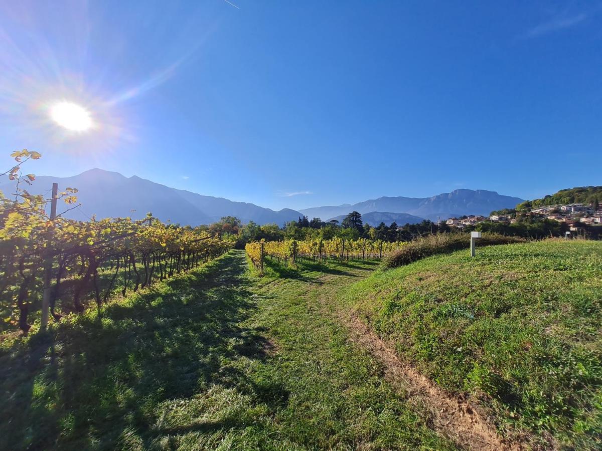 Agritur Ponte Alto Villa Trento Exterior photo
