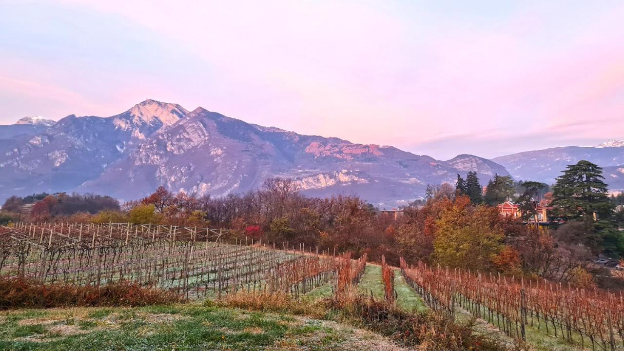 Agritur Ponte Alto Villa Trento Exterior photo